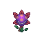 Planta Carnívora Elite